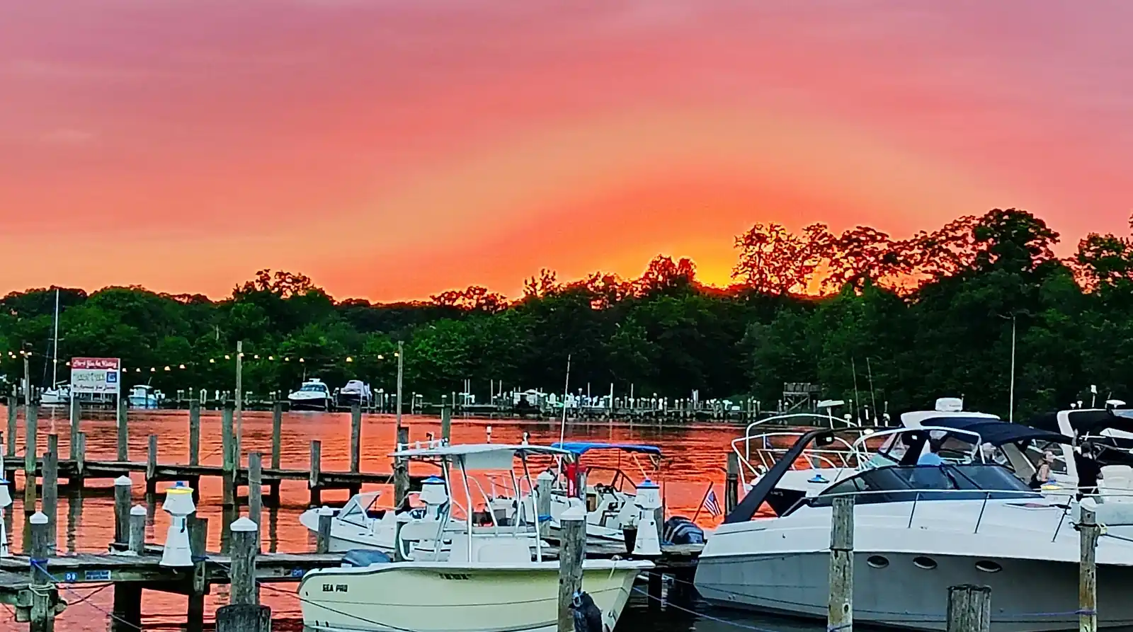 Chesapeake marina at sunset, boats in their slips and the sun dropping behind the treeline